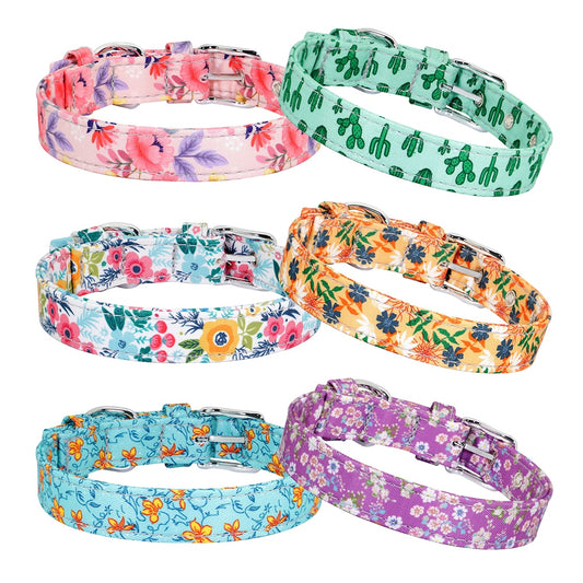 six flower, cactus, purple, blue, orange, light blue, green , and pink cat and dog collars